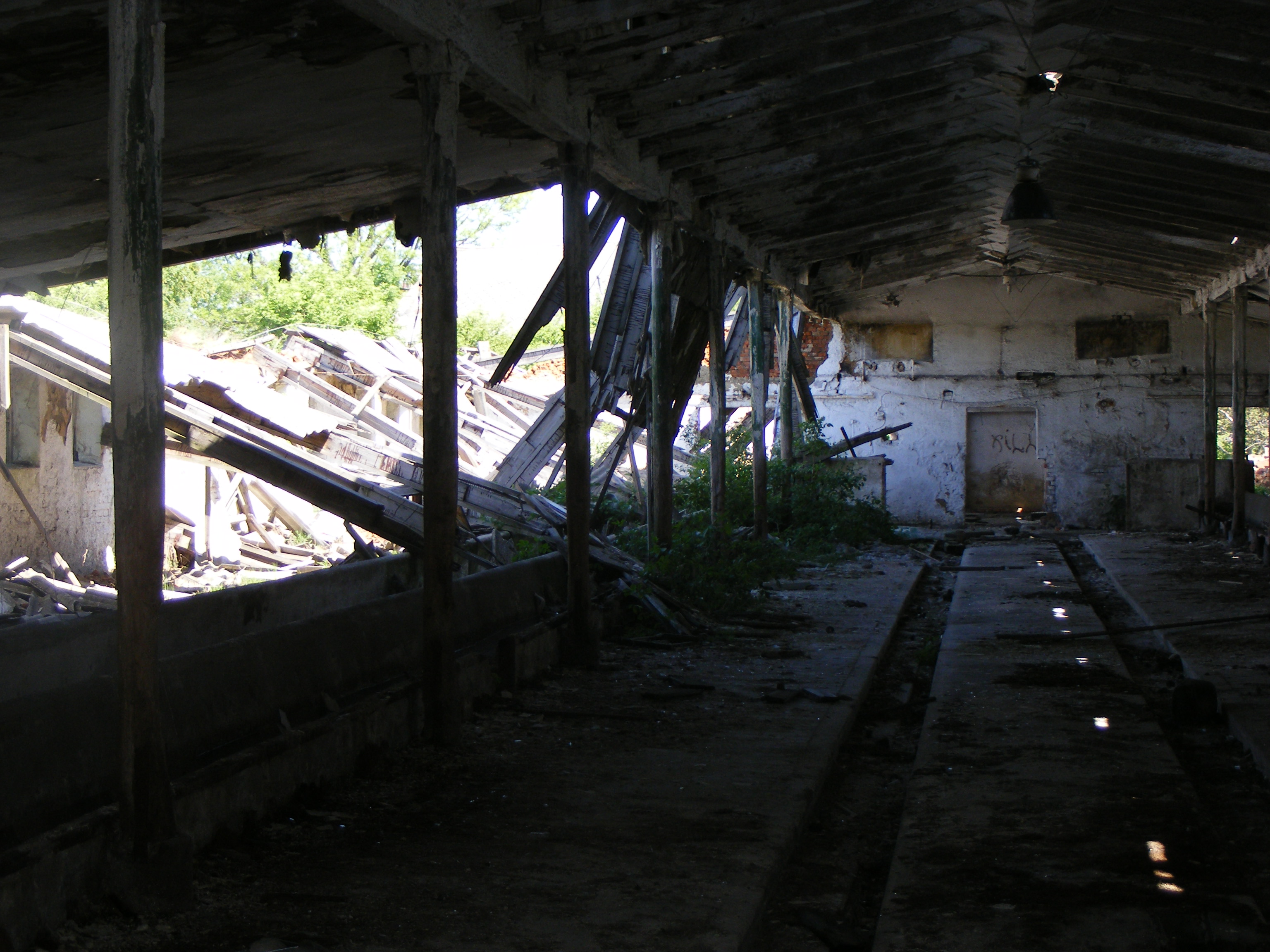 DSCF1911.JPG