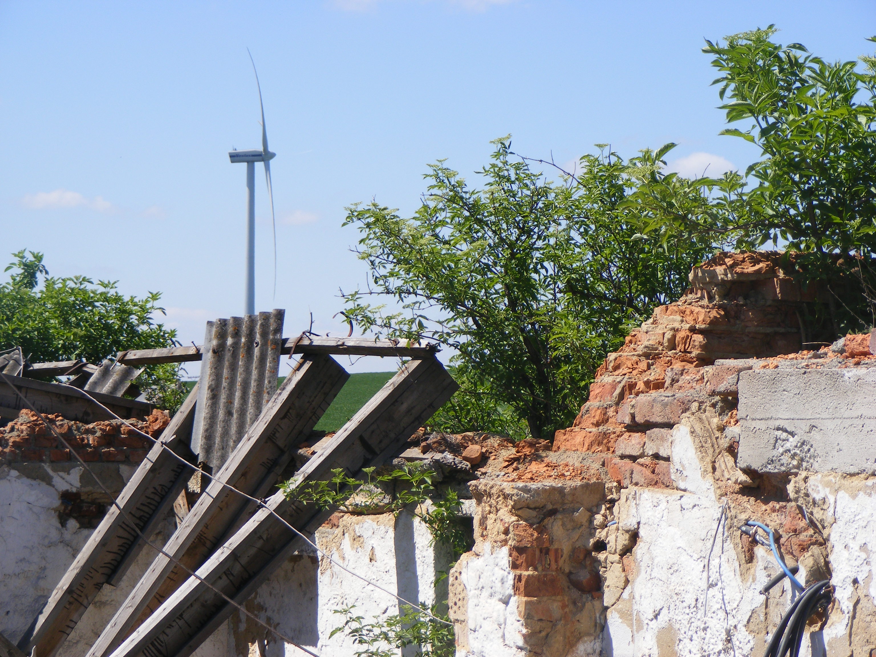 DSCF1908.JPG