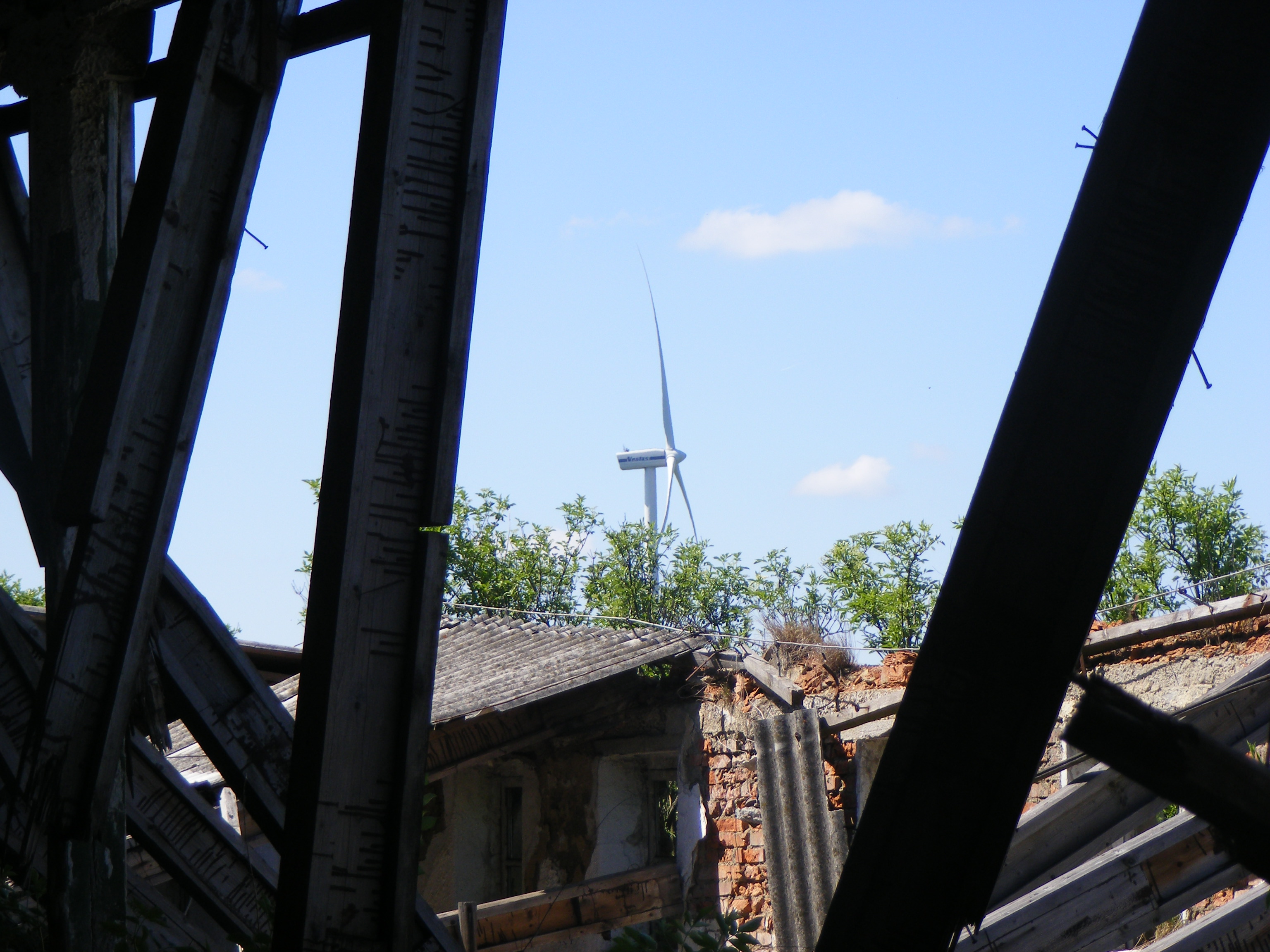 DSCF1910.JPG
