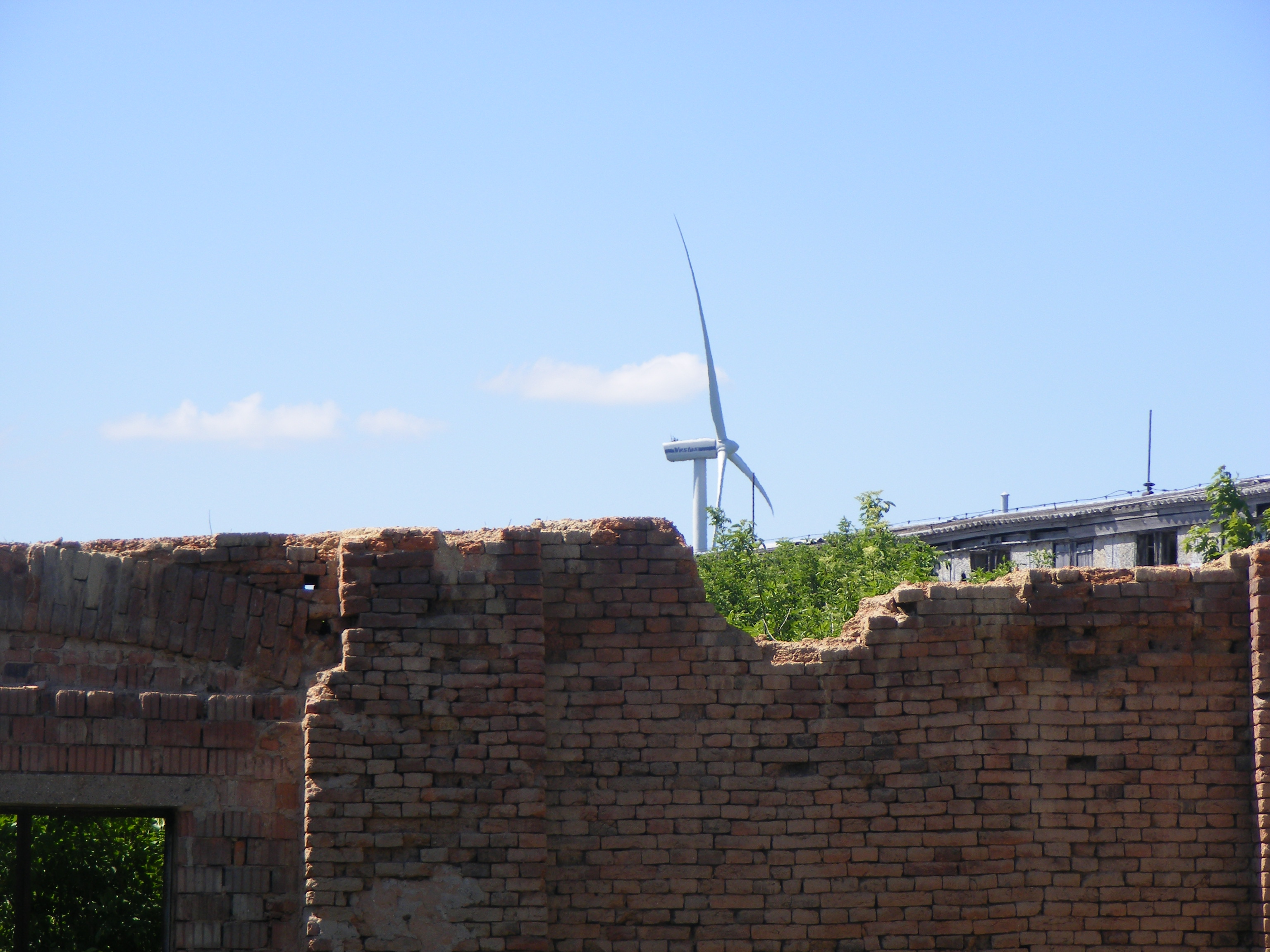 DSCF1913.JPG